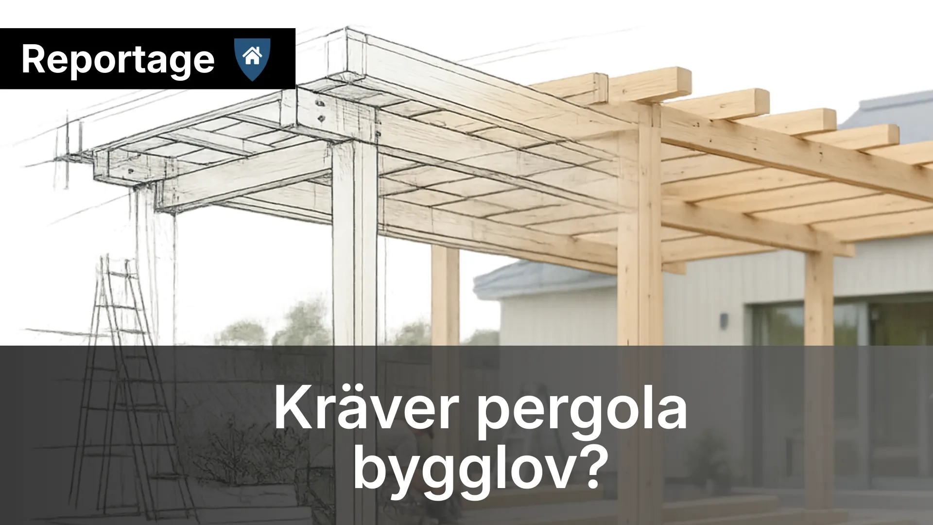 pergola reportage
